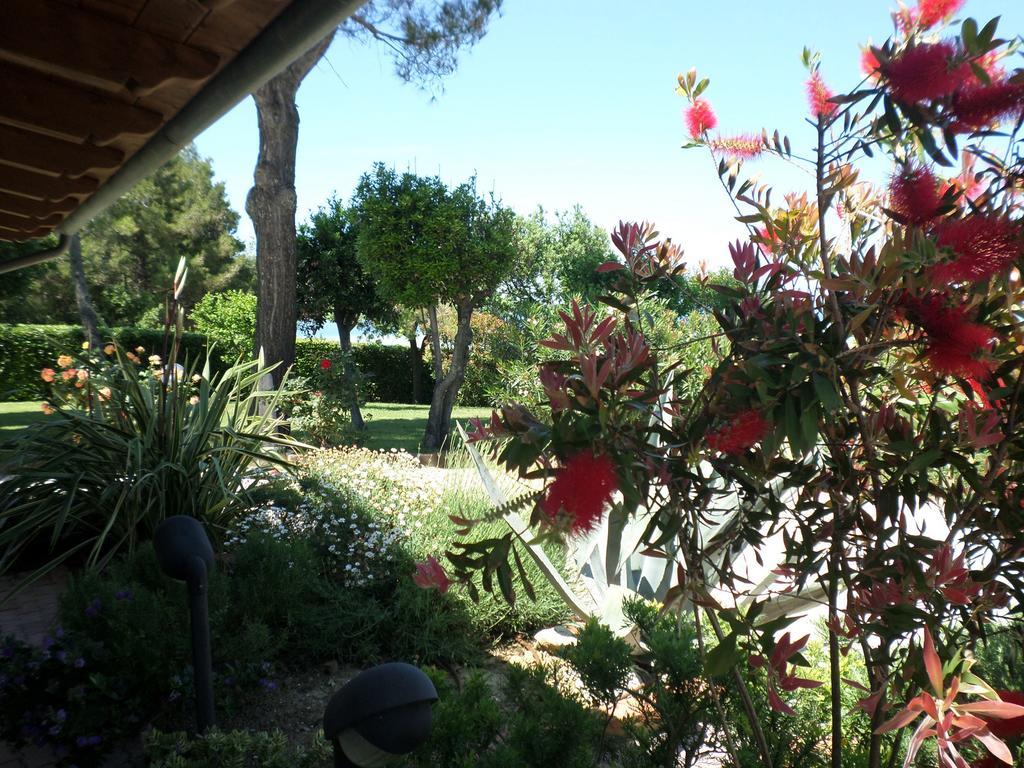فالكونارا ماريتيما Bed And Breakfast " Il Tesoro Di Mario " المظهر الخارجي الصورة